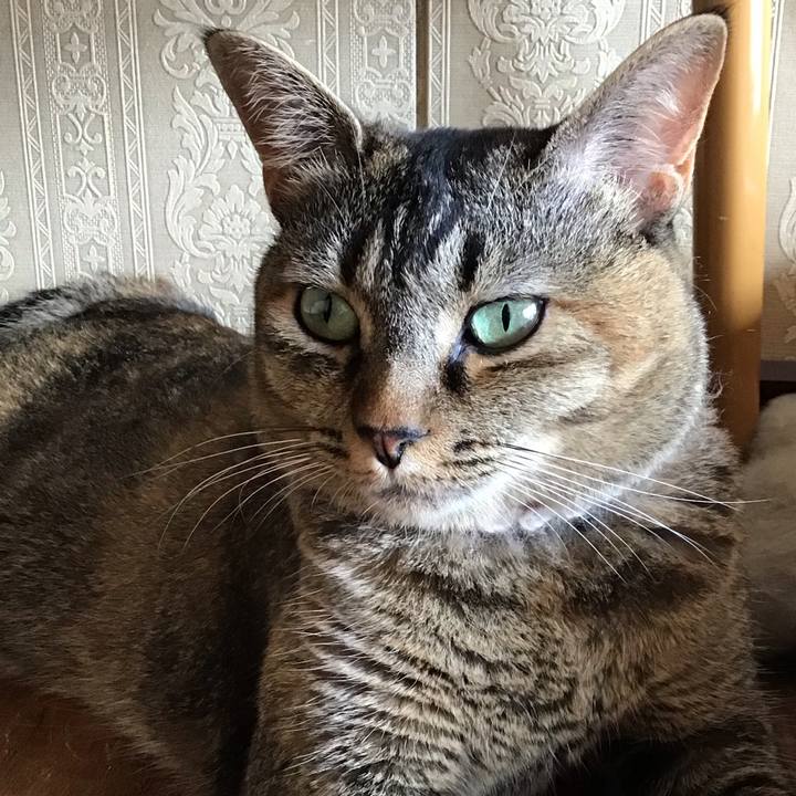 Bd97f693 39a0 49fb b84c 370766f45a78 1658556306698