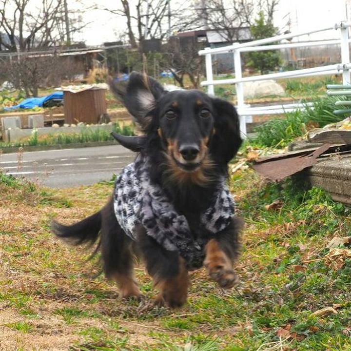 Bd9808c0 bac5 4437 8da5 3562bc86a32a 1549692015569