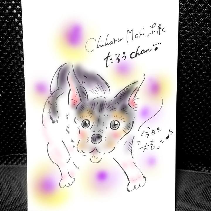 Bd983782 c1e0 43cf be8e e5e954aeb468 1569173973040