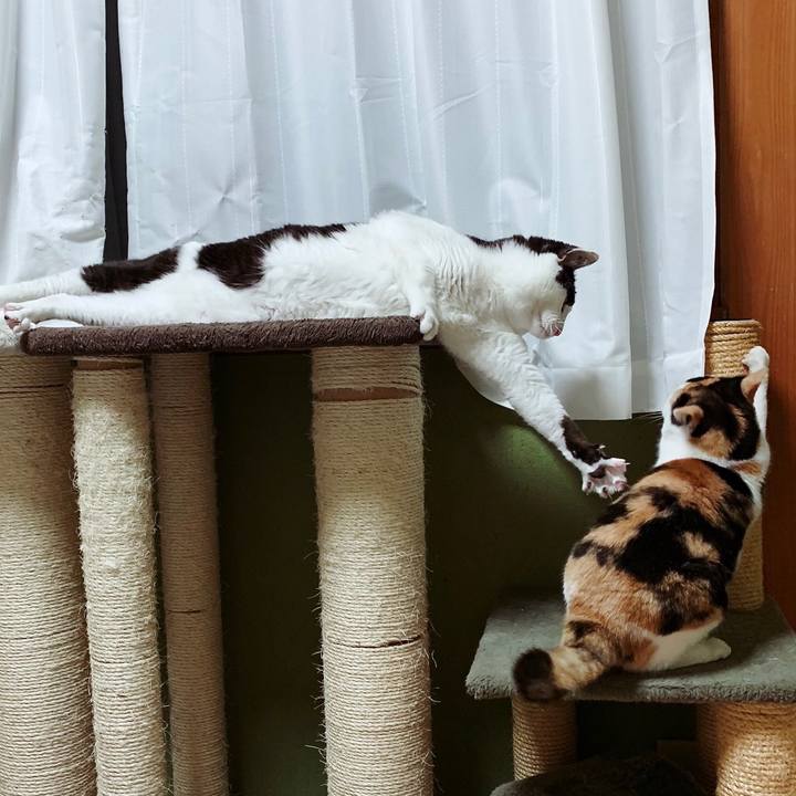 Bd9864ec dde9 416b ada9 6bbef8aa0422 1556760476447