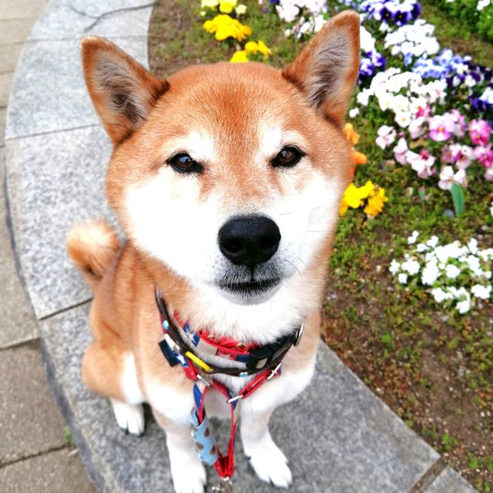 Bd9876d4 5d01 498e 88df 12bef042c989 1679535305852