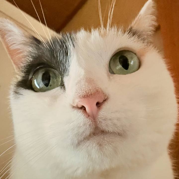 Bd98924e 53ee 4b7e 8519 0cb53ad03045 1728351309365