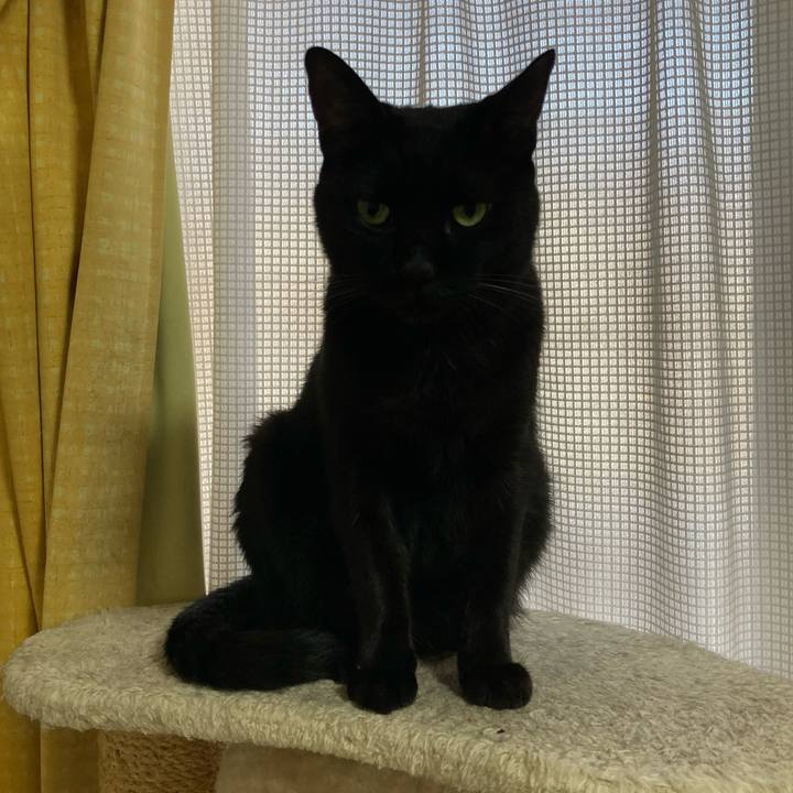 Bd989801 bd87 4bc4 b533 aa0a26131c6a 1761101013396