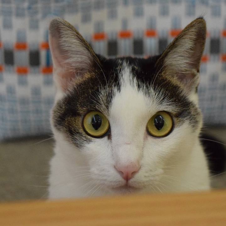 Bd98a944 604e 4c58 ae80 bdfa809f4fc8 1694354372330