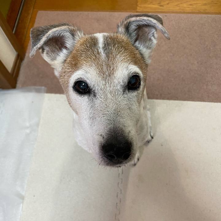 Bd991008 eeb8 4090 b2ae 73de1514935a 1615159213725