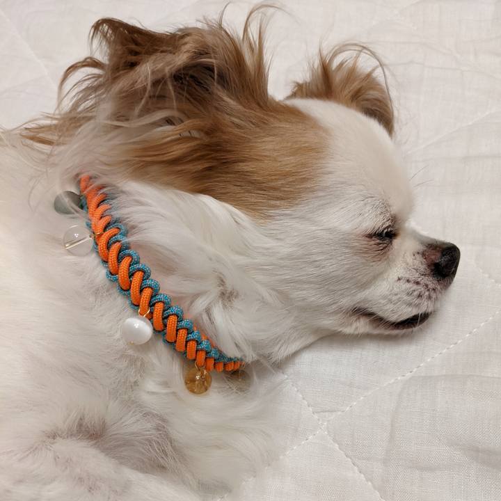 Bd992392 8027 4b11 8edb 4dcf082f9808 1658335655472