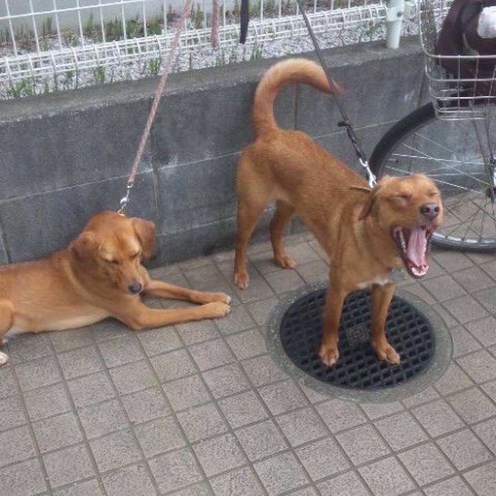 Bd996880 649f 4b2a acee 515b88c8e3e5 1512967849619