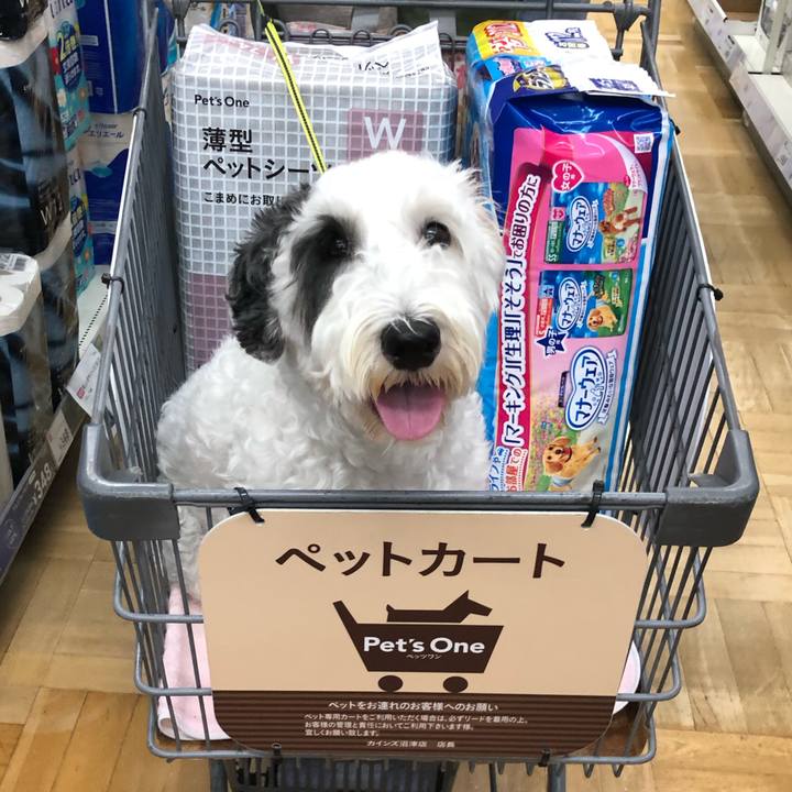 Bd99a9bd d3b8 4f7f 9f4d 2567675109ae 1561898240343