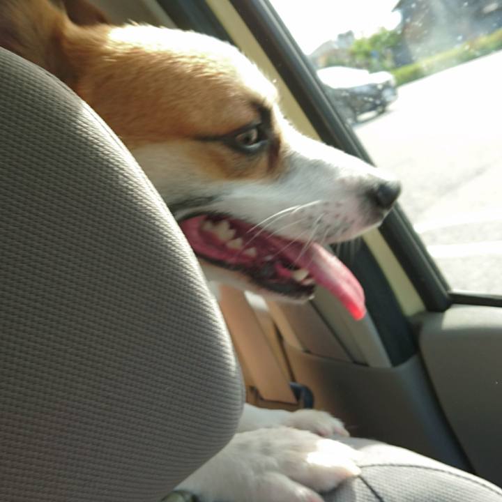 Bd99d96f e01e 4ea2 930f d389efefabfa 1599876083669