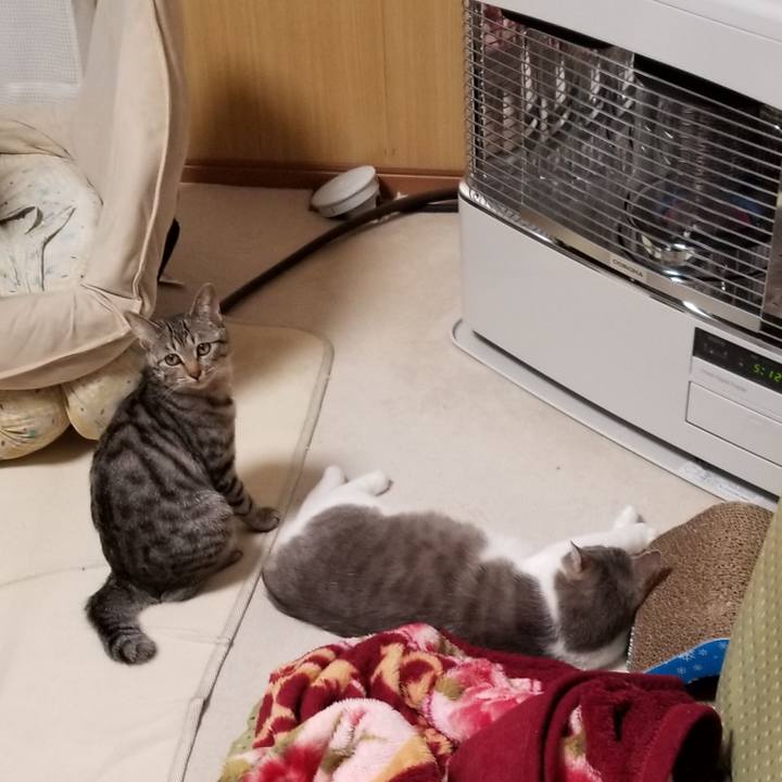 Bd99f009 cee0 4acc 9250 dca06ae910cd 1675090674293