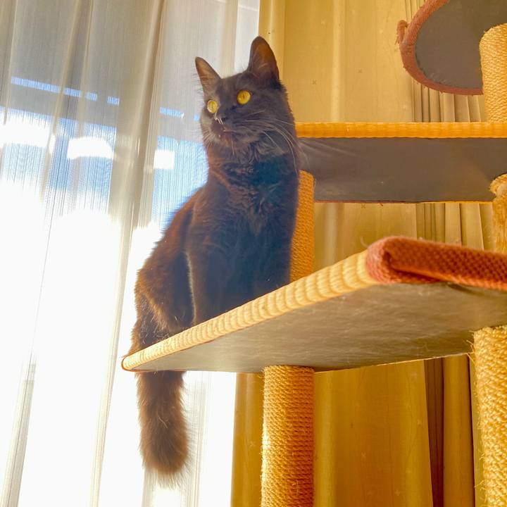 Bd99f611 a217 4773 b189 477c3e99bf02 1735966498506