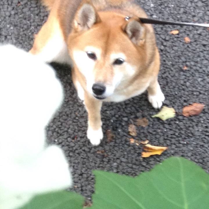 Bd99fa9f 47cc 43df 8ce3 77963f161c52 1537491271373