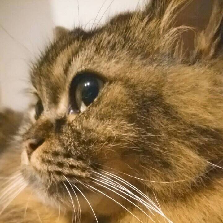 Bd9a0072 90e8 44a8 82f2 a86f19f10b0e 1514772557172