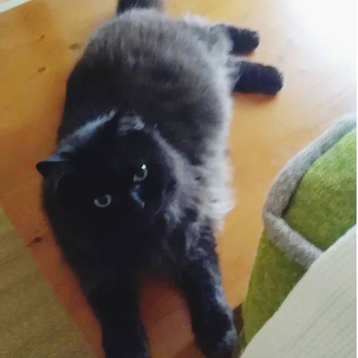 Bd9a1598 0932 4337 8b22 b6c85581d226 1530330771370