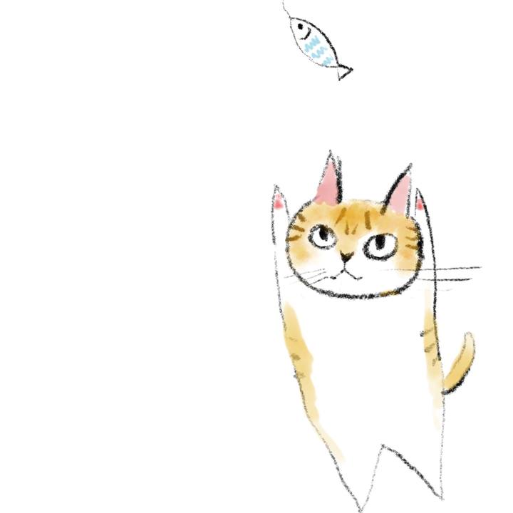 Bd9a1f14 72bb 4ea6 ab31 bba2faf74071 1687522947078