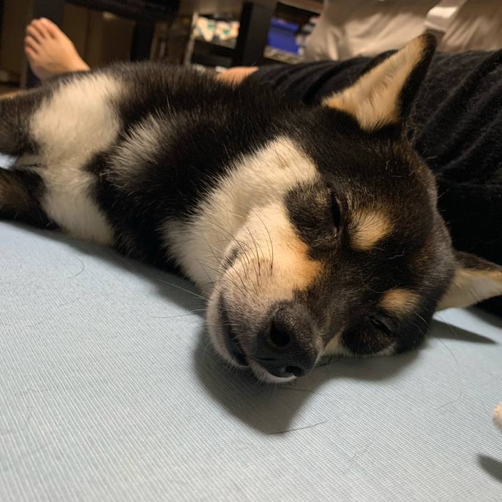 Bd9a2cf7 3242 4214 b830 5802a0cc1dd0 1621748425507