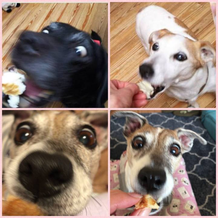 Bd9a5073 25fc 4e8b 84ef d4af5660993b 1522576735582