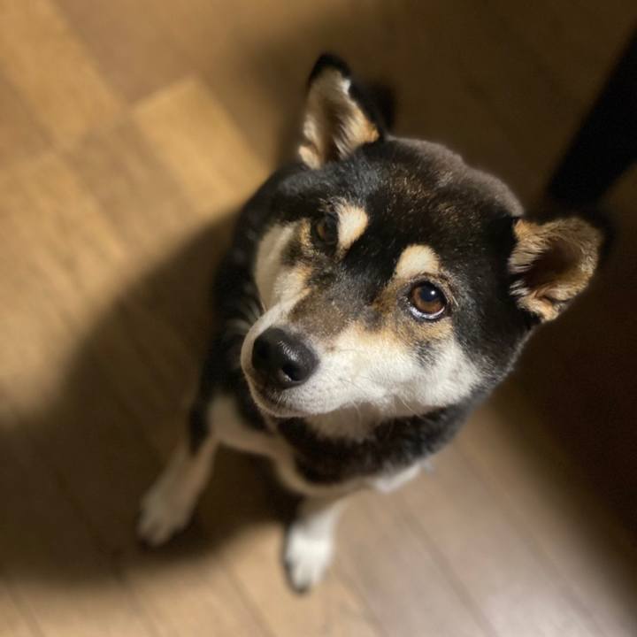 Bd9a6bf8 4bb3 4eea 83c3 bc7969df96ec 1638111932719