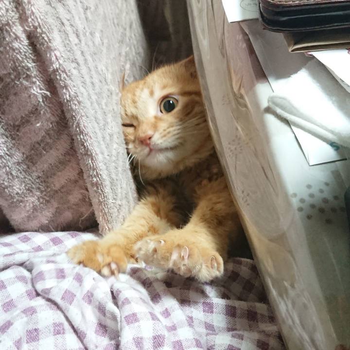 Bd9a7907 78ac 4265 af51 3fe0758b335a 1654606094795