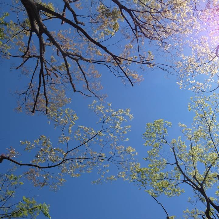 Bd9aacf2 743d 4af4 aec9 e07821f23d75 1604968195105