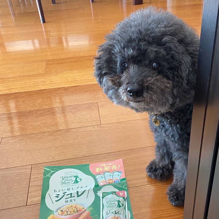 Bd9ad8db 67aa 49d8 b717 7ce3508e0f95 1633165682100