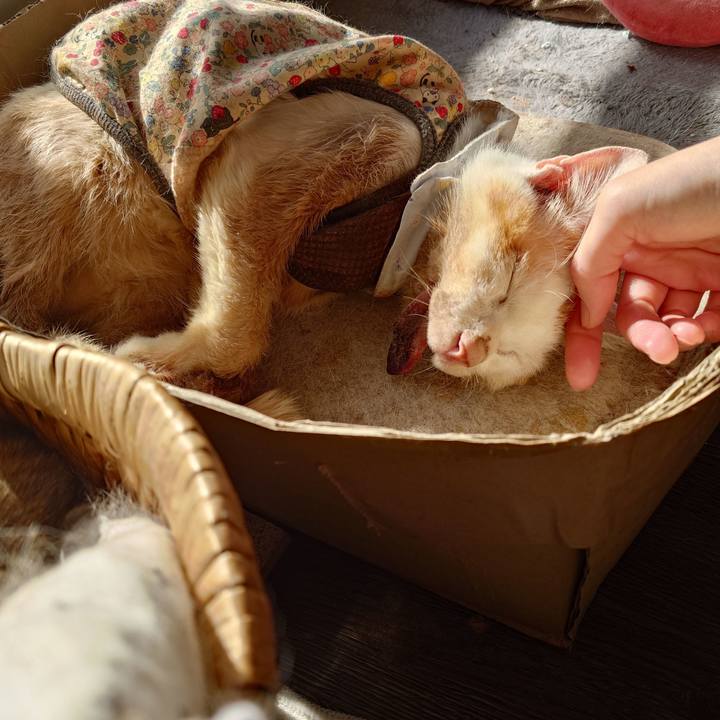 Bd9ae3d1 6b79 4a3d bcfa 1d46dd638b51 1771477021050