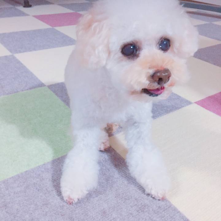 Bd9af951 9b9d 4065 a64e daee8e6e345d 1541505459147