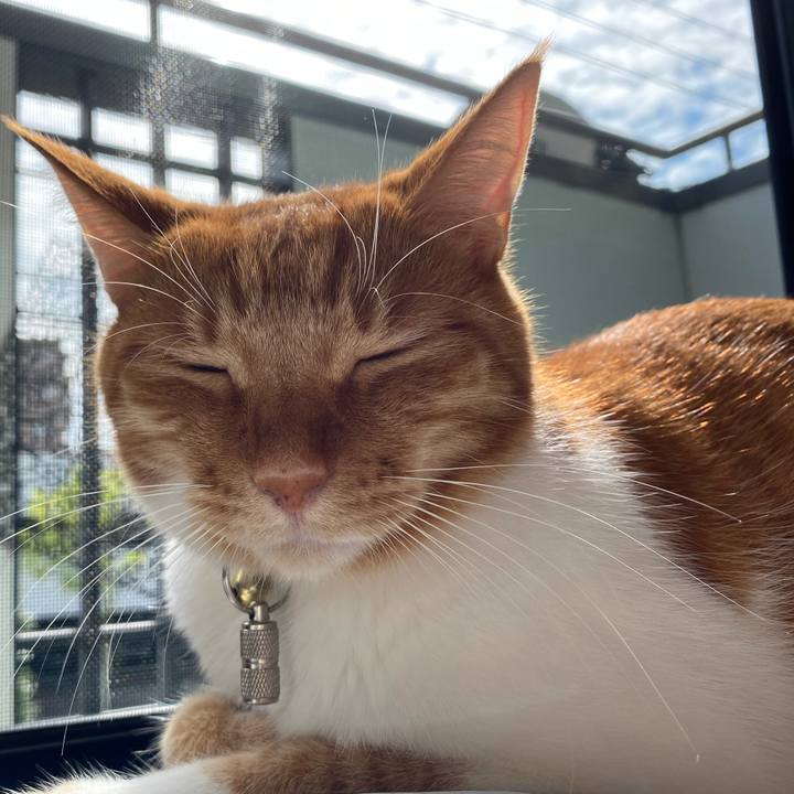 Bd9b3c0e aa8d 41e9 8bab 3062c6df86de 1600486263596