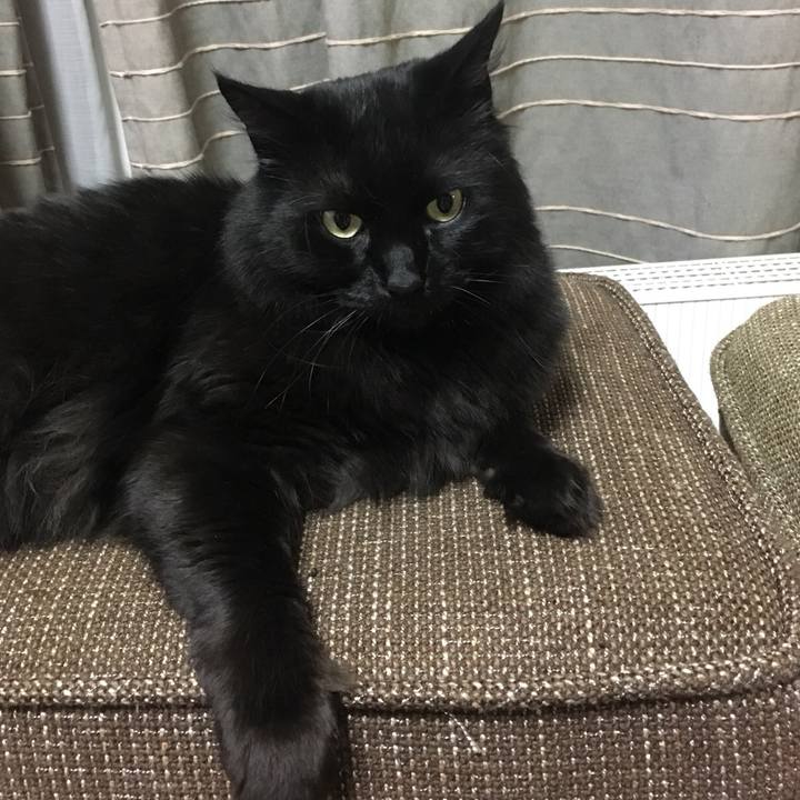 Bd9b4c4c f441 4412 a15e aeca8a262df0 1522862744444