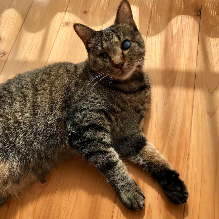 Bd9b57fd e19f 4c09 a557 7c6da24e9c64 1540177566232