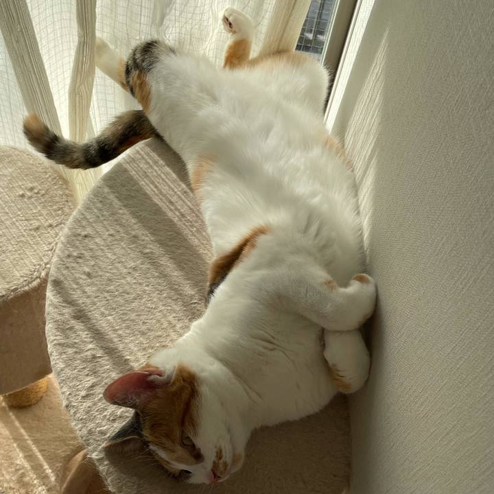 Bd9ba4d0 b544 4032 9bbc 25c4d05e1298 1608958852898