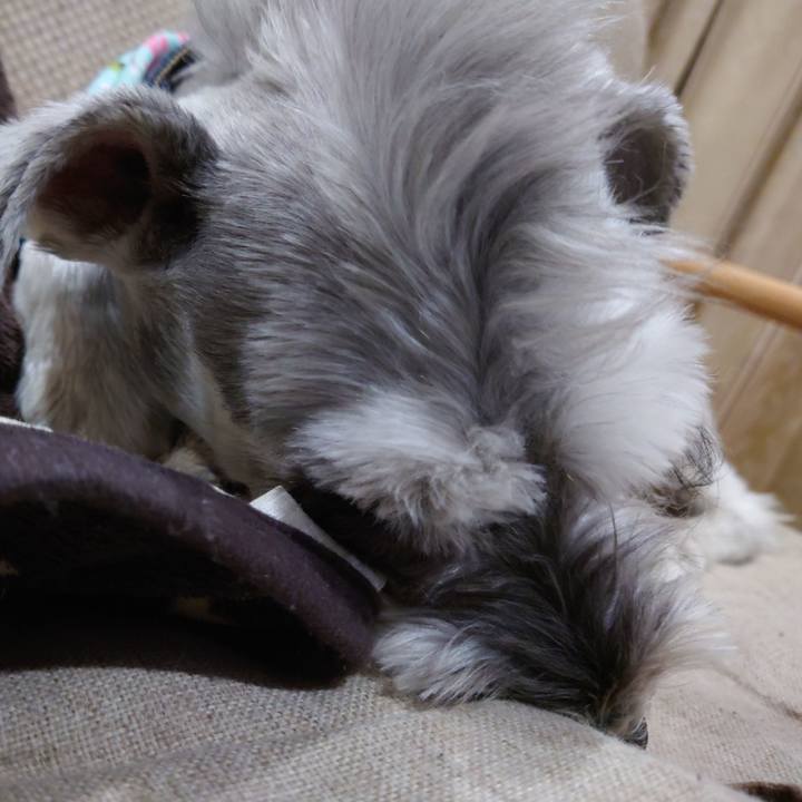 Bd9c0344 cbb3 4629 9097 fb66747f464c 1776772576534