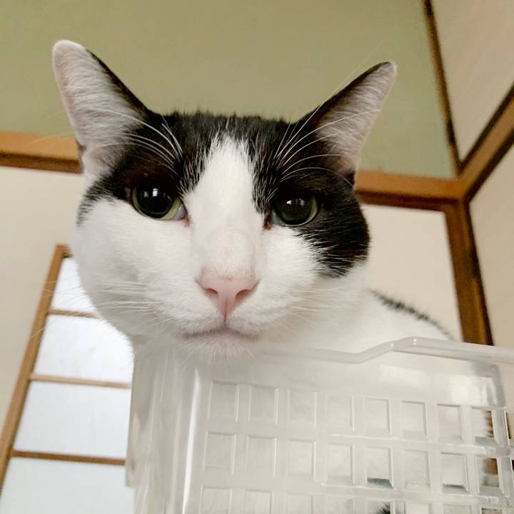 Bd9c0e24 3401 4e24 abac 0d2a26622aec 1540002016914