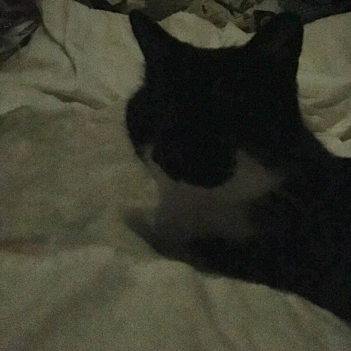 Bd9c1030 07ef 4f80 a4bb 94ffe76d4931 1559218632695