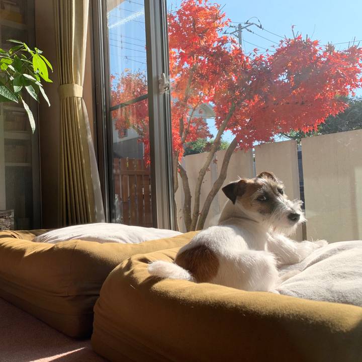 Bd9c1d9d a461 4c03 bbba beacba528c78 1576119558061