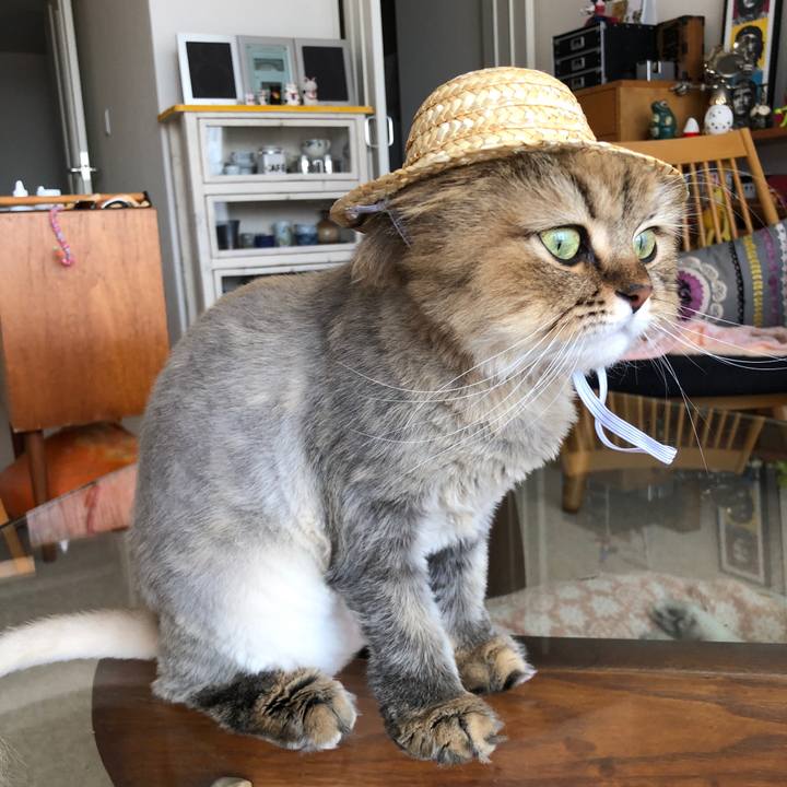 Bd9c8027 de18 45c4 8846 9ca845ad8ab0 1524887634107