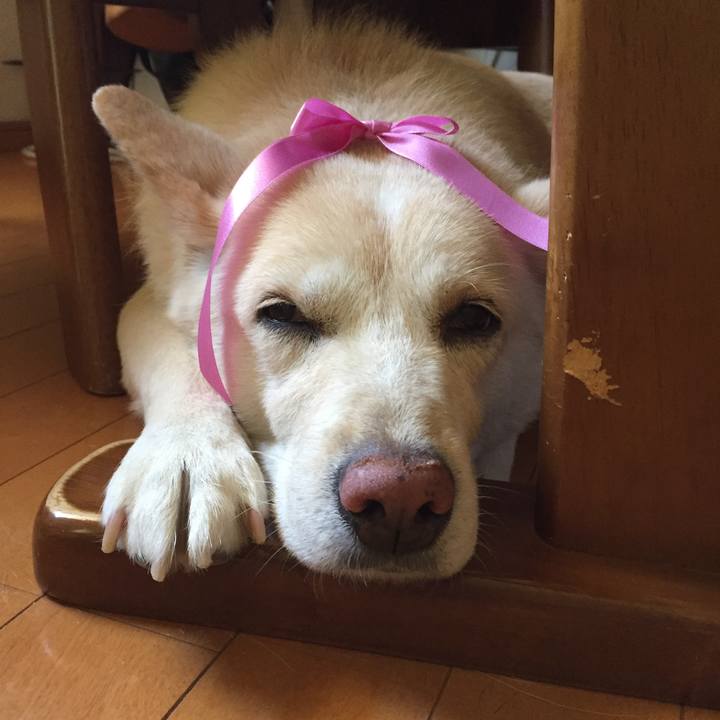 Bd9c9e30 06cf 4e87 ab17 3e887c9e0be8 1535538958947