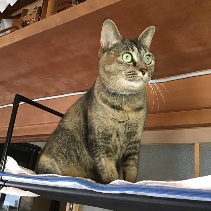 Bd9cad06 d5ae 4793 813c 1b9fe9b8c70e 1635491939142