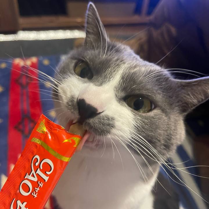 Bd9cbb90 79a4 4512 ac2a ae00630054cf 1675848020462