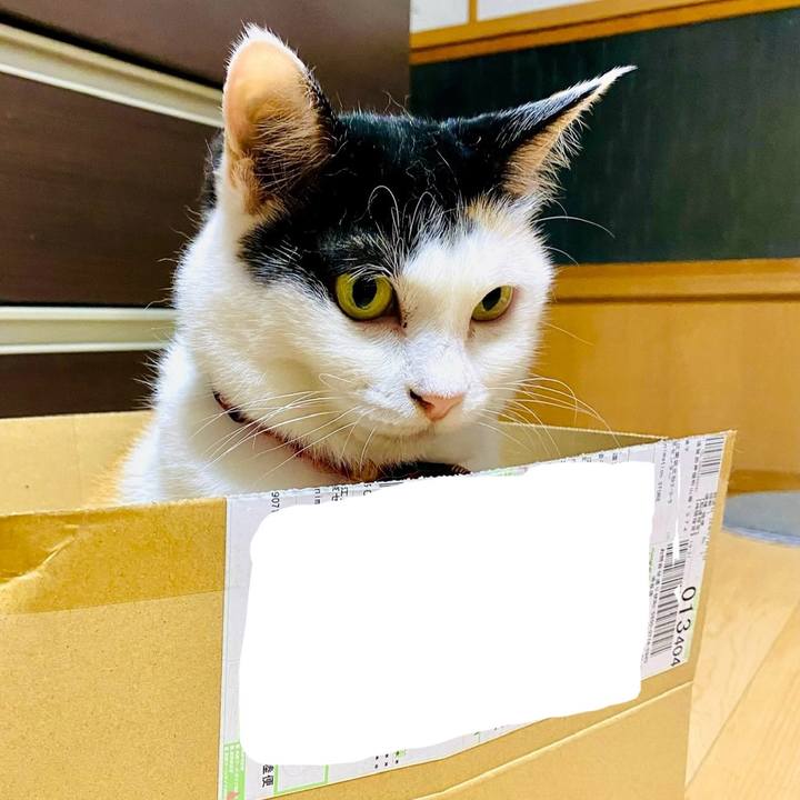 Bd9ced7d 9413 47ab ae6f 491283cd0c64 1721564239403