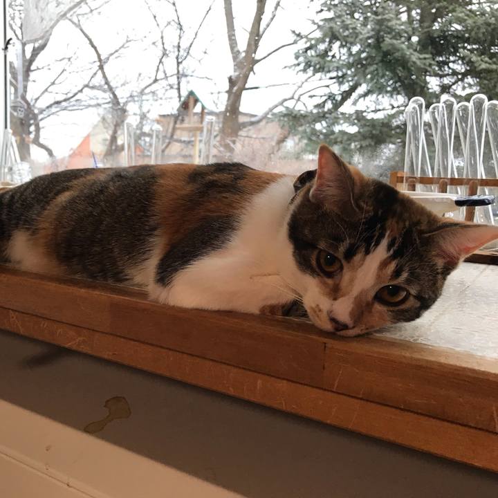 Bd9d14e3 443d 4b51 bc43 0b937fb3aa3e 1616707574204