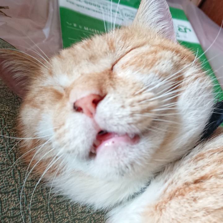 Bd9d2abe 2c28 4bd8 893f 848b71e79960 1566706499918