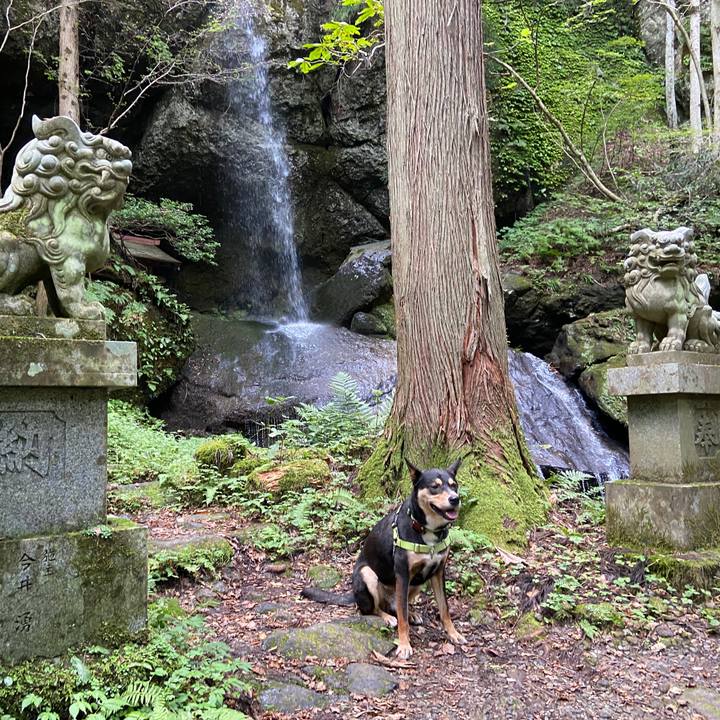 Bd9d351b efd9 4cdf 9cc9 126f5ac70bf8 1632129293350