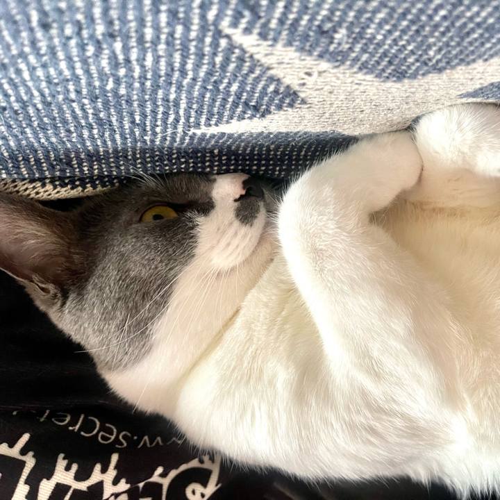 Bd9d35df b1e0 467c 979a 6afe5775be37 1651319007660