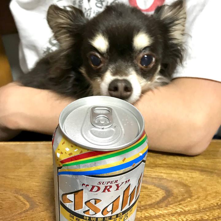 Bd9dc99c 2d4d 403e 8966 eb1fb4de30a5 1581765476502