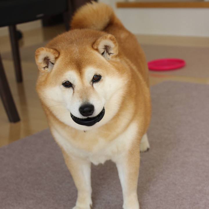 Bd9dd701 0903 4a5d ad3d f003e782da7c 1616557959290