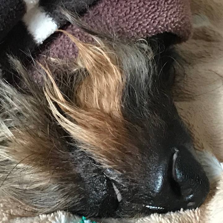 Bd9de1dd 4e1f 49e4 aed7 32478093caf1 1550886016140