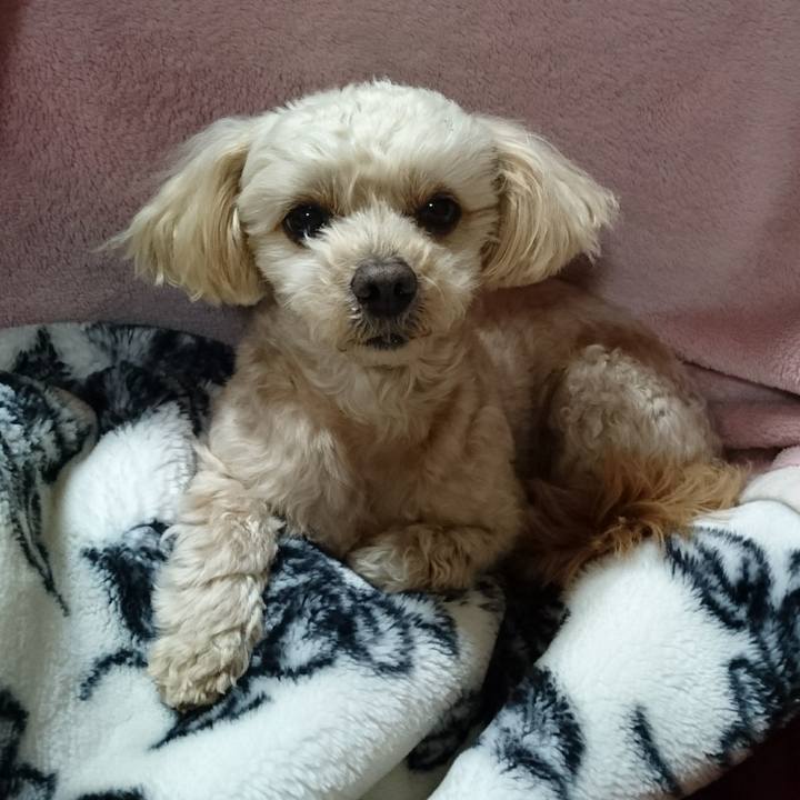 Bd9df1d6 ae84 49dc 9db3 d911a4ac509e 1581380101218