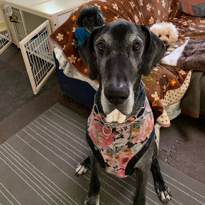 Bd9e23ea 25f5 4b1f b1a4 d639a48fc0e9 1610058865556