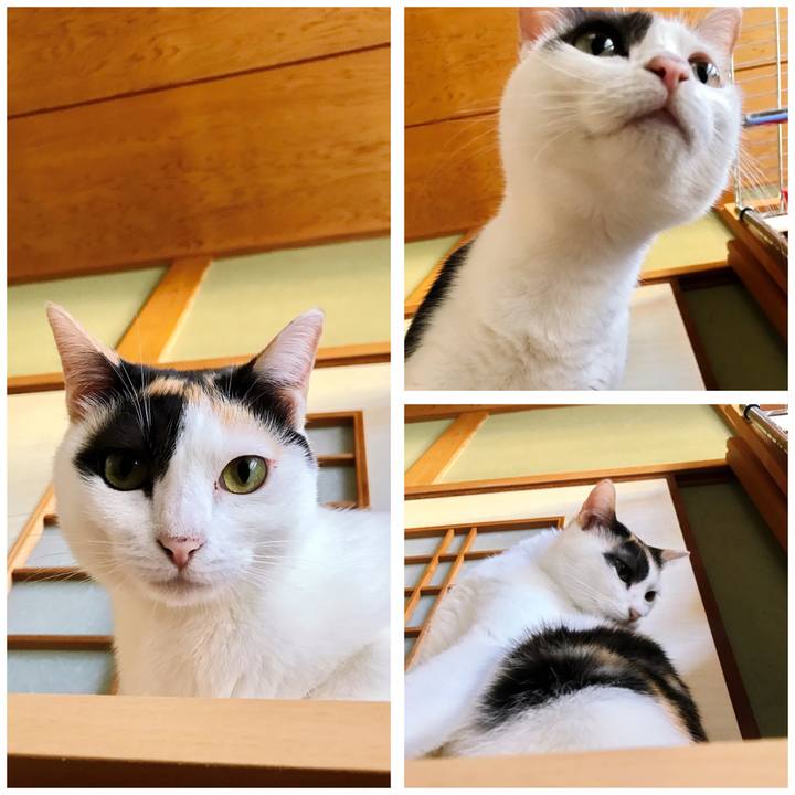 Bd9e30ce bb64 45d6 8cb6 e48ec6e7988e 1507944665087